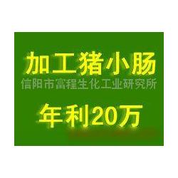 信陽市進出口代理與動漫游戲開發 融合供應鏈與創意產業的商業機遇
